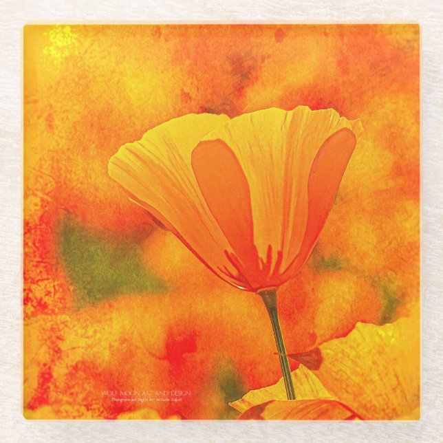 Golden Orange California Poppy "Land Of Orange" Glass Coaster (Front)