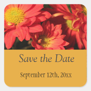 Golden,orange colour daisy flowers. square sticker