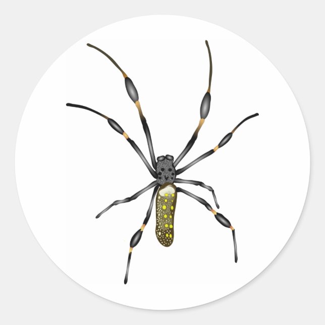 Golden Orb Spider Classic Round Sticker (Front)