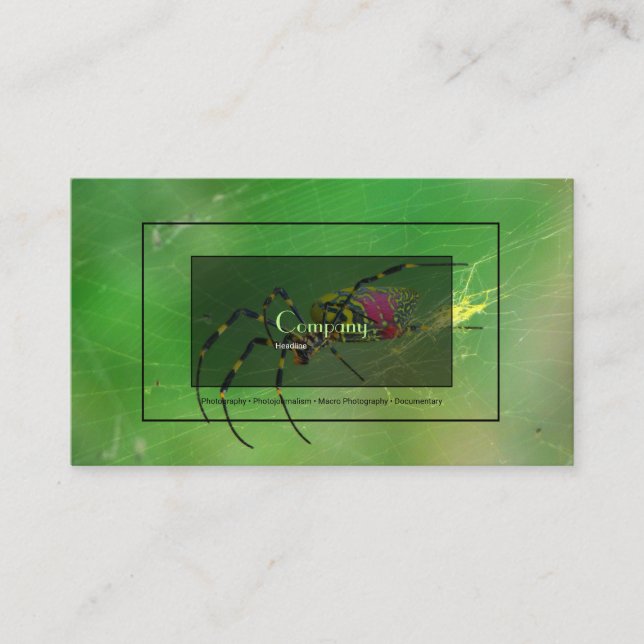 Golden Orb Waver Business Card (Front)