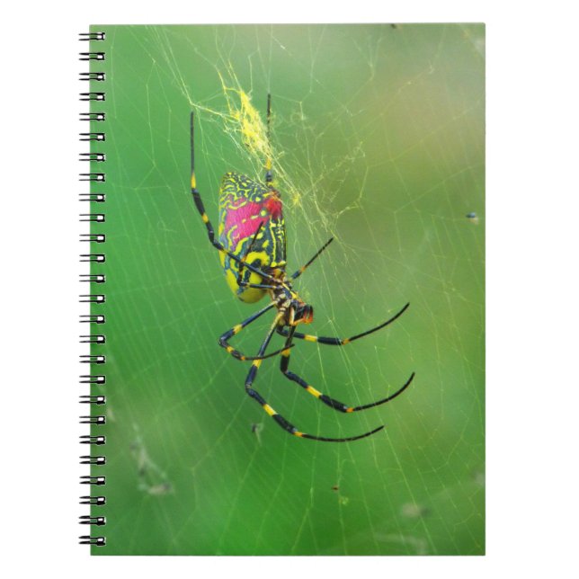 Golden Orb Weaver Spider Notebook (Front)
