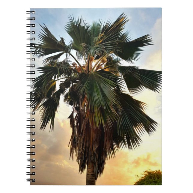 Golden Palm Sky – Tropical Spiral Notebook (Front)