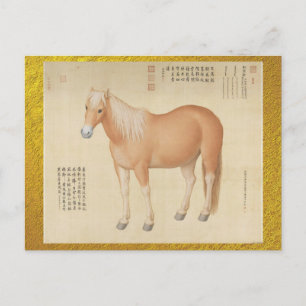 Golden Palomino Steed - Vintage Chinese Art Postcard
