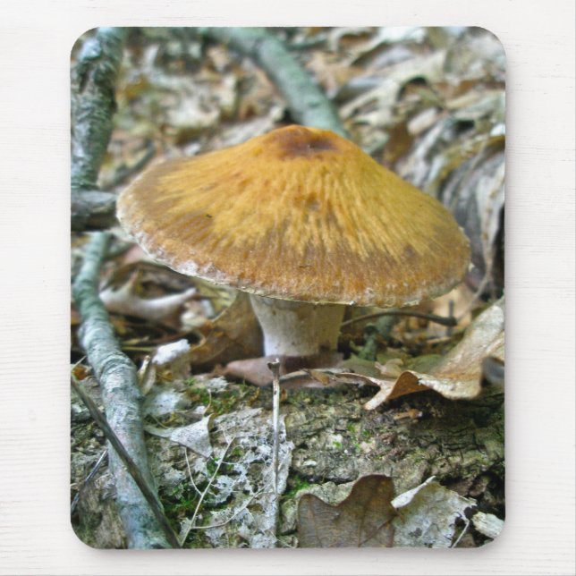 Golden Parasol Mushroom Mousepad (Front)