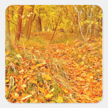 Golden Path