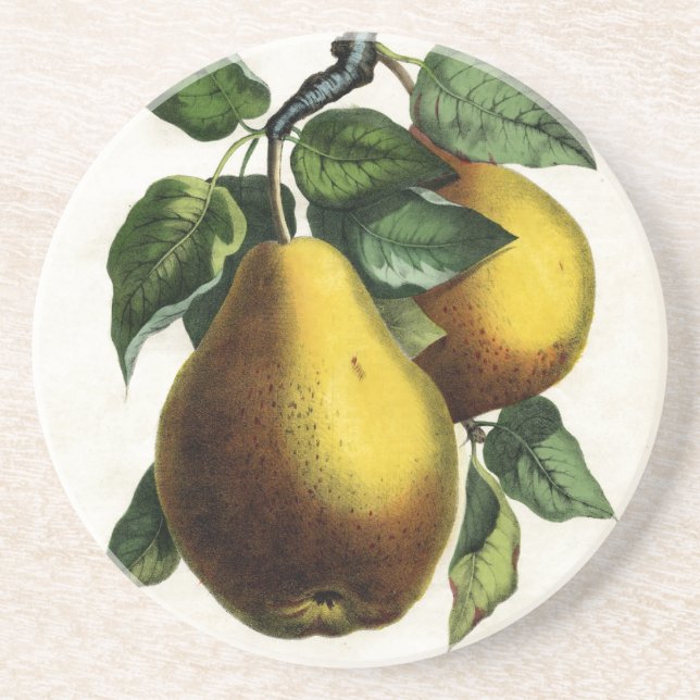 Golden Pears Coaster (Front)