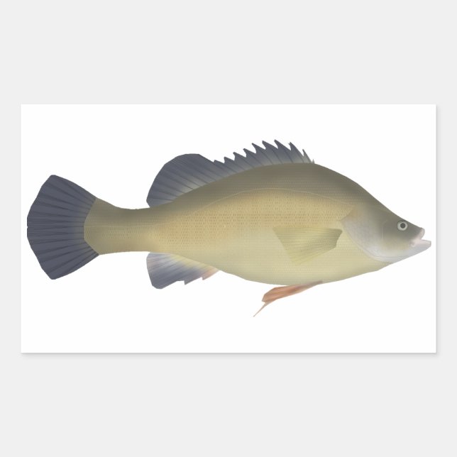 Golden Perch Rectangular Sticker (Front)