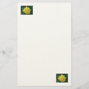 Golden Petals Stationary Stationery