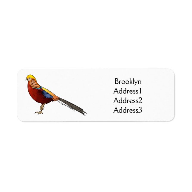 Golden pheasant bird cartoon illustration (Front)
