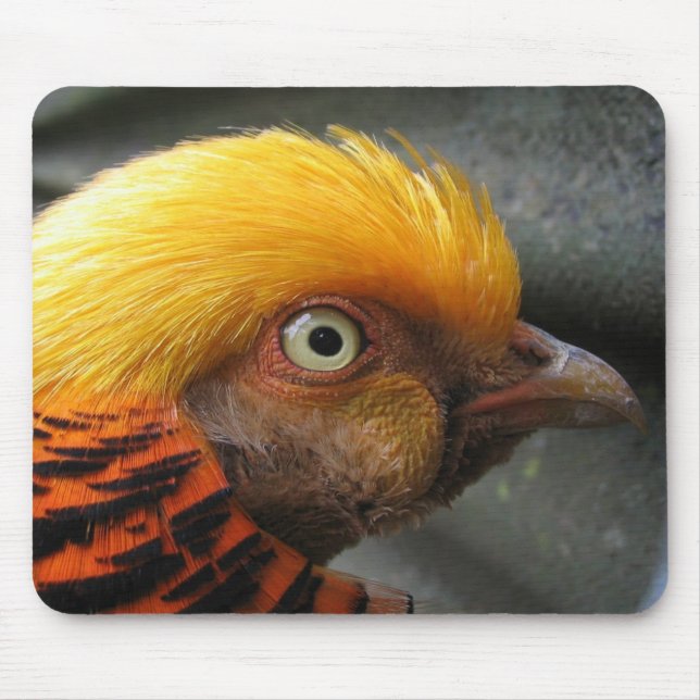 Golden Pheasant Mousepad (Front)
