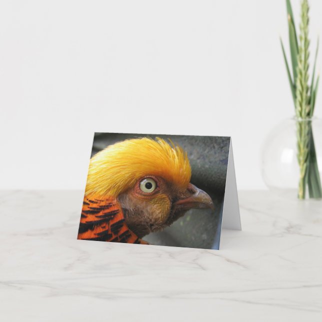 Golden Pheasant Note Card (Front)