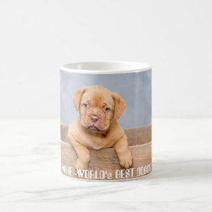 Golden Pitbull Puppy Personalised Name & Photo Coffee Mug