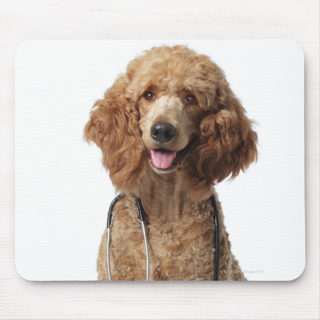 Golden Poodle Dog wearing a stethoscope Mouse Pad (Front)