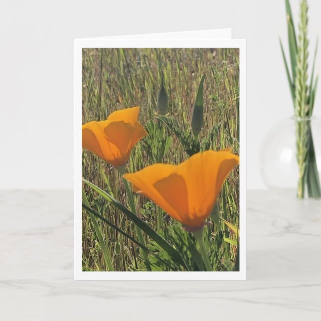 Golden Poppies (Inside Blank) Card (Front)
