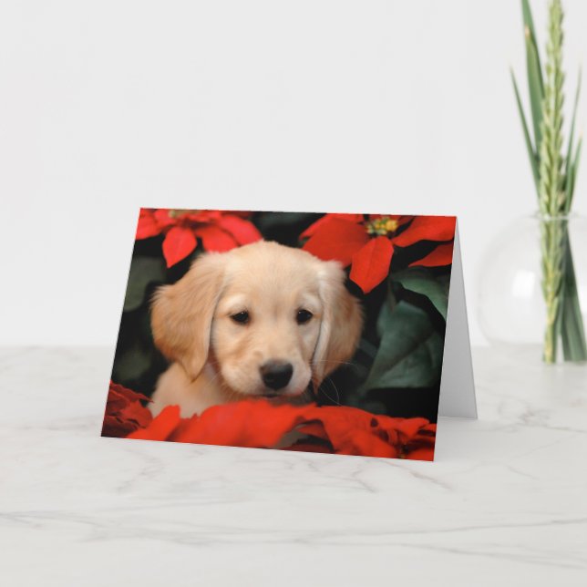 Golden Puppy and Poinsetta Christmas Card (Front)