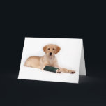 Golden Puppy Get Well Card<br><div class="desc">Wish friends or family a speedy recovery with this SNAPshotz Golden Retriever photo card. Featuring a Golden puppy in wrapped leg,  it's the perfect "Get Well" card for the injured Golden Retriever fan you know. Add a message inside.</div>