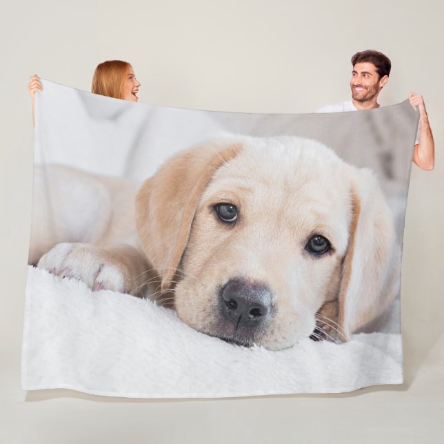 golden puppy Labrador  blanket (In Situ)