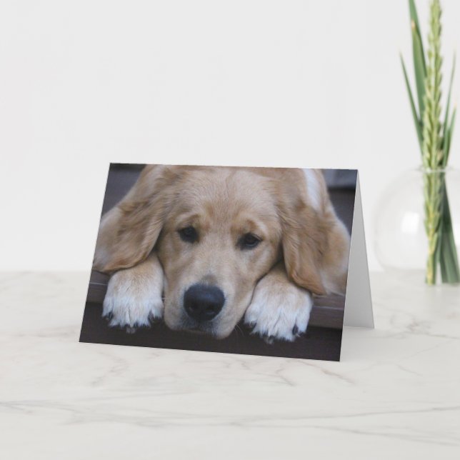 Golden Puppy Paws Greeting Card (Front)
