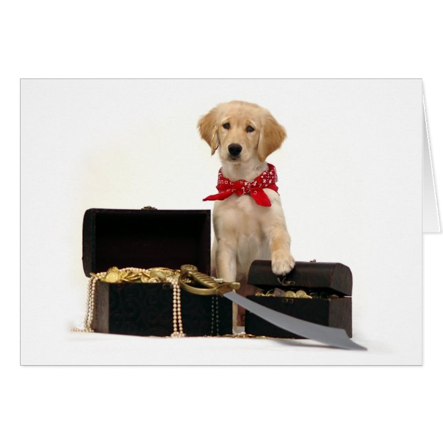 Golden Puppy Pirate (Front Horizontal)
