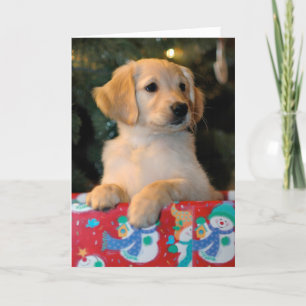 Golden Puppy Present Christmas Card