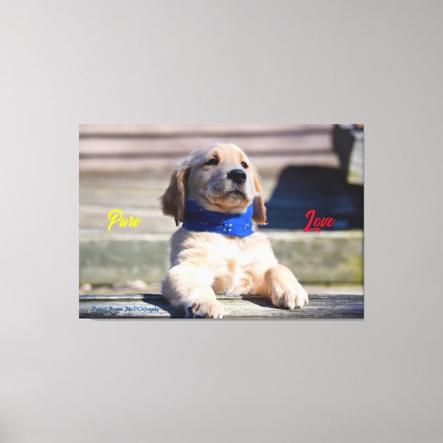 Golden Puppy with Bandanna  - Canvas Print (Front)