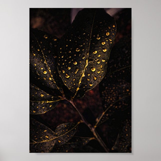 Golden Rain Glow – Natural Elegance Poster (Front)