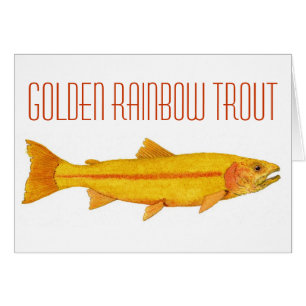 Golden Rainbow Trout.