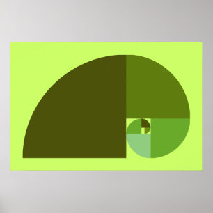 Golden Ratio, Fibonacci Spiral Poster