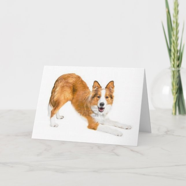 Golden Red Border Collie Notecard (Front)