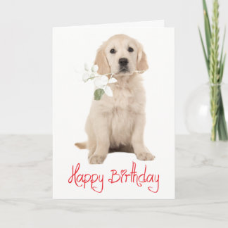  Golden Retiiever Flower Puppy Dog Happy Birthday  Card