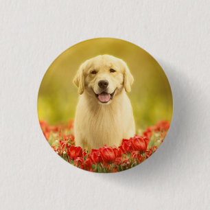 Golden Retirever in Red Flowers 3 Cm Round Badge