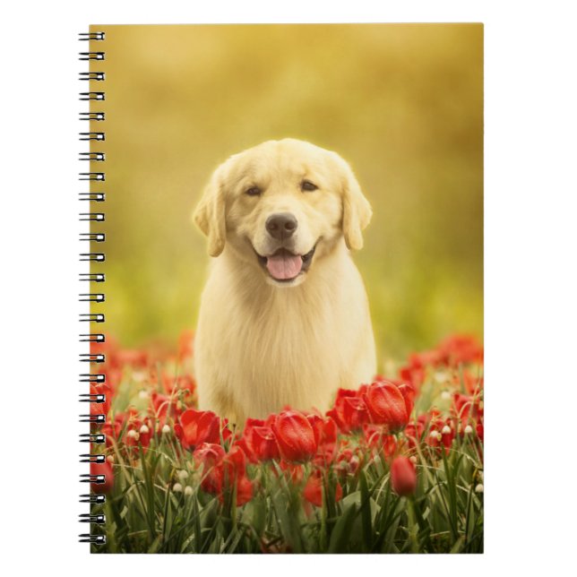 Golden Retirever in Red Flowers Notebook (Front)