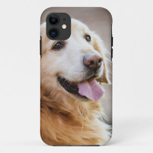 Golden retiver, Dog, Happy dog Case-Mate iPhone Case