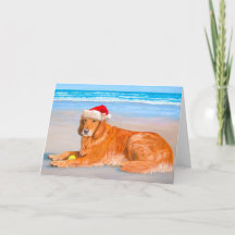 Golden Retreiver Holiday Card