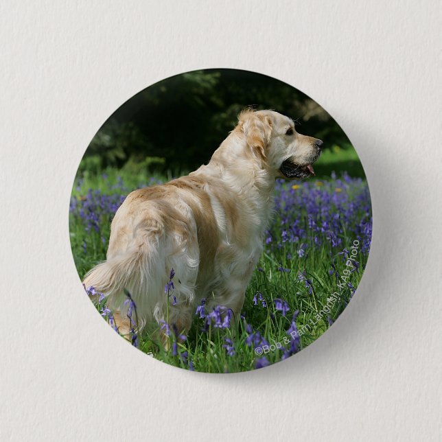 Golden Retreiver in Flowers 6 Cm Round Badge (Front)