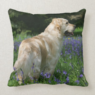 Golden Retreiver in Flowers Cushion