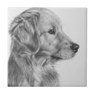 Golden Retreiver Profile Tile