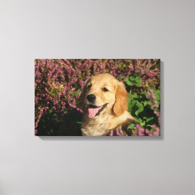 Golden Retreiver Puppy Canvas Print (Front)