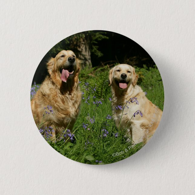 Golden Retreivers in Grass 6 Cm Round Badge (Front)