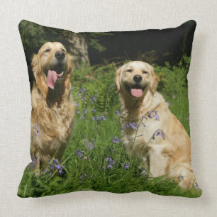 Golden Retreivers in Grass Cushion