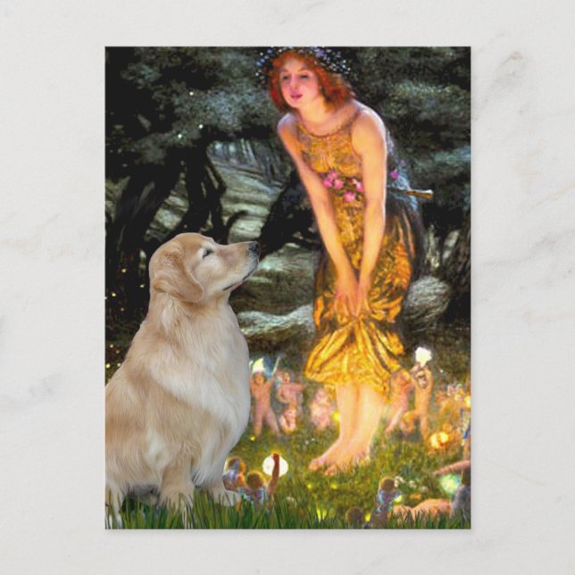 Golden Retriever 11 - Mid Eve Postcard (Front)
