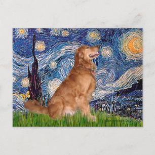 Golden Retriever 3 - Starry Night Postcard