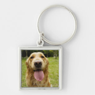 Golden Retriever 4 Key Ring