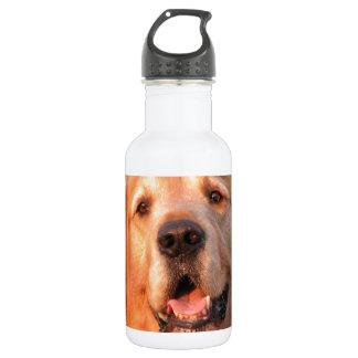 Golden Retriever 532 Ml Water Bottle