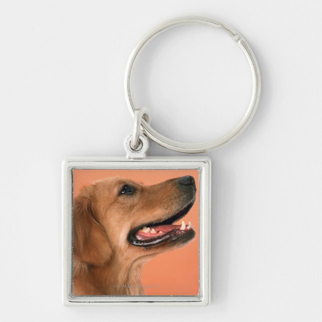 Golden Retriever 7 Key Ring (Front)