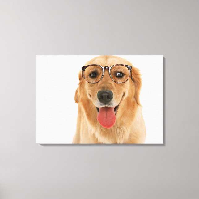 Golden Retriever 8 Canvas Print (Front)