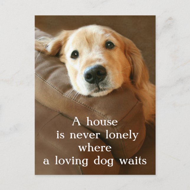 Golden Retriever A House Is Never Lonely Postcard (Front)
