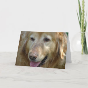 Golden Retriever Aged 10 Years Card