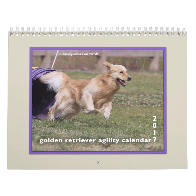Golden Retriever Agility 2017 Calendar (Cover)