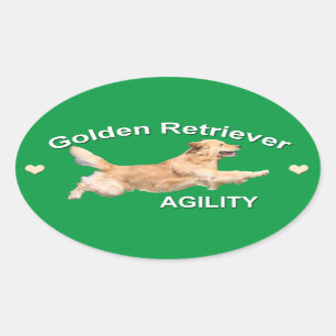 Golden Retriever Agility Decal Oval Sticker